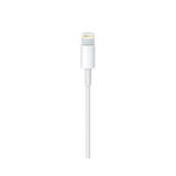 Câble Lightning vers USB-A Apple 200 cm blanc (MD819ZM/A)