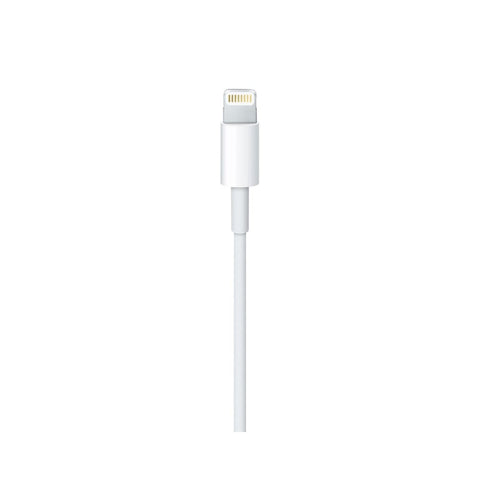 Câble Lightning vers USB-A Apple 200 cm blanc (MD819ZM/A)