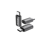 Adaptateur OTG USB-C vers Lightning Rixus RXOTG03 gris sidéral (lot de 2)