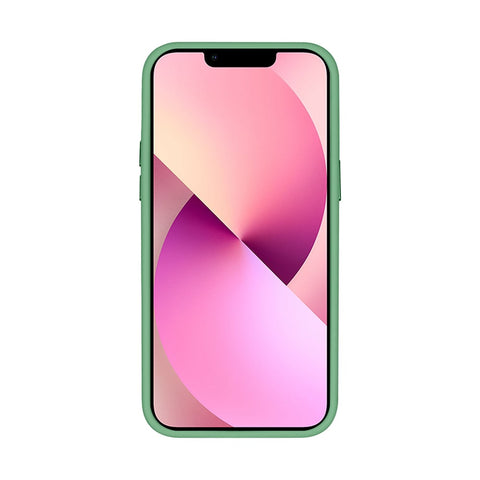 Étui Rixus Classic 03 avec MagSafe pour Apple iPhone 12 Pro Max vert clair