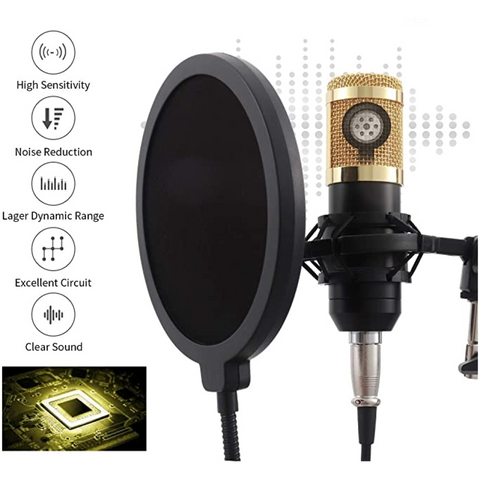 Équipement de microphone pour diffusion en direct