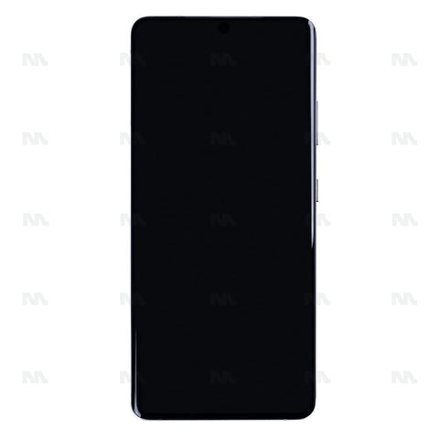 Chassis + Ecran LCD + Vitre pour Samsung Galaxy S21 Ultra 5G G998B Phantom Silver Pre - Assembled
