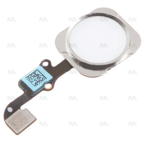 Nappe pour bouton d'accueil pour iPhone 6/6 Plus - Blanc