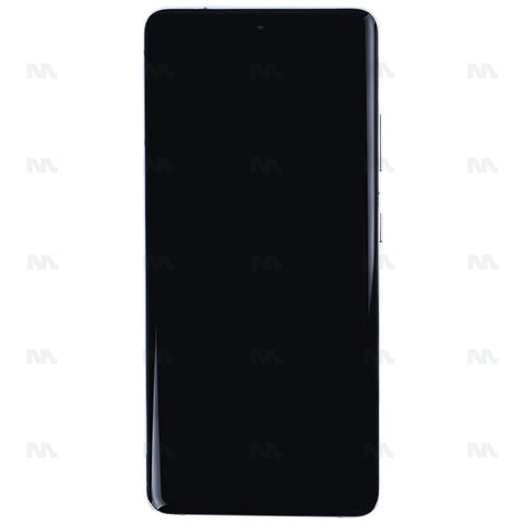 Chassis + Ecran OLED + Vitre pour Samsung Galaxy S21 Ultra 5G G998B - Phantom Silver