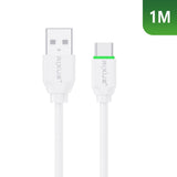 Série de câbles rapides Rixus RXU81CS pour USB-C (présentoir de comptoir)